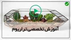 آموزش تراریوم-تراریوم لاکچری-ساخت تراریوم بنفشه آفریقایی