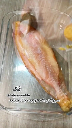 ماهی شکم  پر شمالی