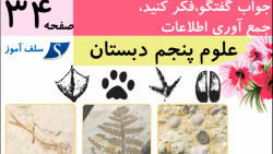 جواب گفت و گو و فکر کنید و جمع آوری اطلاعات صفحه 34 علوم پنجم دبستان