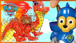 بازی با اسباب بازی سگ های نگهب...