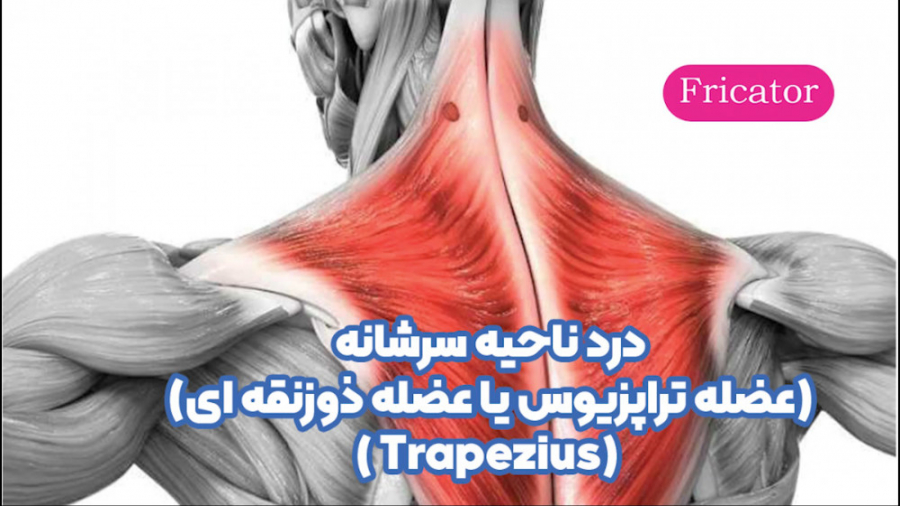 رفع درد در ناحیه سرشانه TRAPEZIUS عضله ذوزنقه ای جراحی بینی