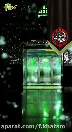 یار همیشگی