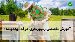 اموزش زنبورداری- دوره آموزش پرورش زنبور-آموزش اصول بهبود زنبورها