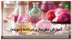 آموزش عطرسازی-دوره عطرسازی-علم عطرسازی-اسانس گیری از اسطخودوس به روش تقطیر