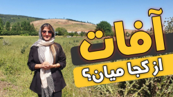 افات از کجا میان