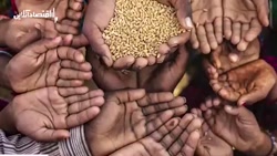 با کمبود جهانی غلات فاجعه غذایی در راه است؟ با کمبود جهانی غلات فاجعه غذایی در راه است؟