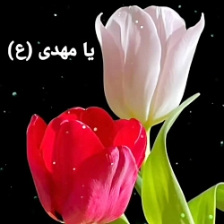 یا مهدی ادرکنی