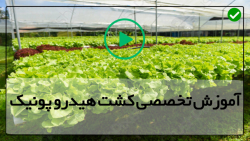 دانلود فیلم آموزش هیدروپونیک (...