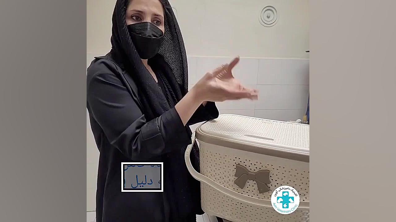 درمان بیماری تشنج در پرنده شکاری دکتر علی برهانی کیا