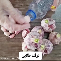 ترفند درست آشپزی- ترفند نگهداری سیر به مدت زیاد
