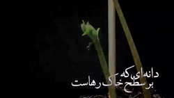 مجموعه ی توحیدی اوست... مجموعه ی توحیدی اوست...