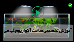 آموزش روش ساخت آکواریوم