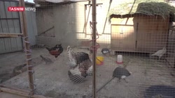 شکستن دیوار تحریم به سبک یمنی...