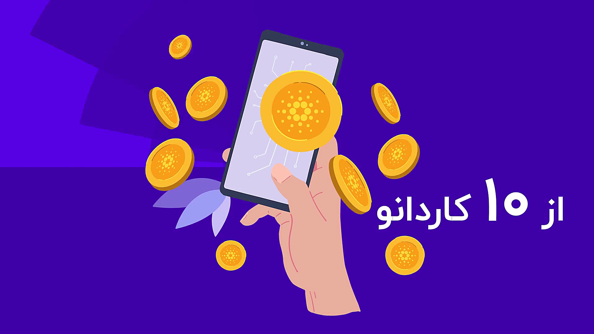 جشنواره , برکت , اکسکوینو , قرعه , کشی , کاردانو , بیت , کوین , ببرید