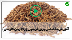 نحوه خشک کردن میل ورم