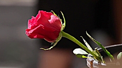 کلیپ استاد رائفی پور  خدای عشق...