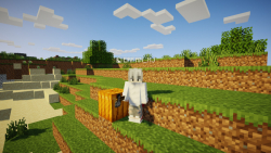 ماینکرفت ولی کدو ببینم بازی تم...