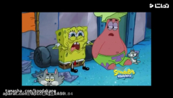 باب اسفنجی و گربه بامزه  کارتو...