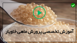 خاویار ایران-تولید خاویار-ماهی خاویار-شرایط پرورش انواع ماهی خاویار