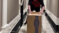 آریا کئوکسر