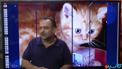 کلاس آنلاین زیست کنکور 1401 مب...