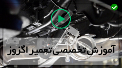 پارگی اگزوز