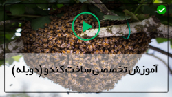 آموزش پرورش زنبور عسل-تولید عسل طبیعی-( مراحل ساخت کندو حرفه ای )