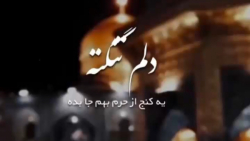 کلیپ ولادت امام رضا برای وضعیت واتساپ - 1401 / دلم تنگه