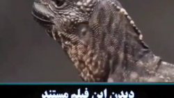 فیلم و مستند: این مستند از ده...