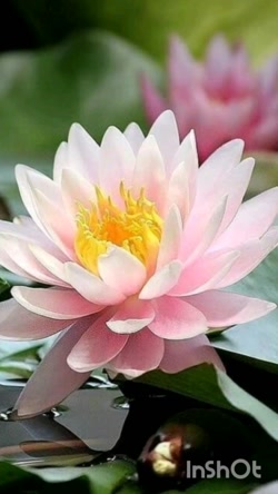 آهنگ به من نگو دوستت دارم