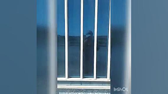 این یک فیلم از خودم گذاشتم کپی به شرط فالو=فالو زمان4ثانیه