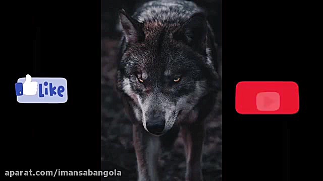 آهنگ نفس نفس به یادتم من کار دله کشیدن دندان