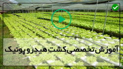 آموزش کامل هیدروپونیک روش هیدر...