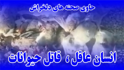حاوی صحنه های دلخراش | انسان عاقل ؛ قاتل حیوانات حاوی صحنه های دلخراش | انسان عاقل ؛ قاتل حیوانات