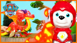 کارتون سگ های نگهبان  مارشال و...