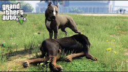 بازی به عنوان سگ پیتبول در GTA 5 | گیم پلی جدید 2022