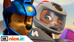 کارتون سگ های نگهبان  انیمیشنس...