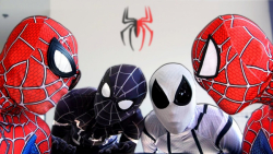 مرد عنکبوتی قهرمان واقعی  ونوم...