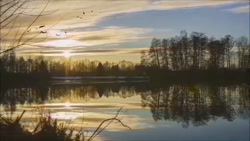 ترک فیلم پورن قسمت نهم