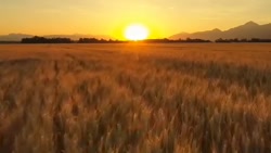 ترک فیلم پورن قسمت یازدهم