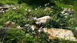 ترک فیلم پورن قسمت چهاردهم