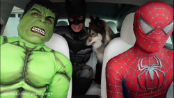 نمایش هالک بتمن اسپایدرمن