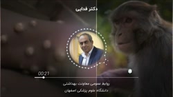همه چیز در مورد آبله میمونی همه چیز در مورد آبله میمونی