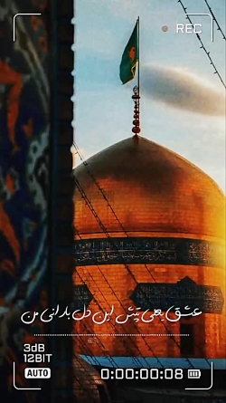 عشق یعنی تپش این دل بارانی من.../#استوری امام رضایی بدون واترمارک
