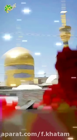 حدیث رضوی