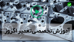 پارگی اگزوز