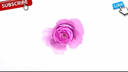 مقایسه دوربین OnePlus 3 و Xiao...