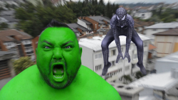 ابرقهرمانان  هالک  مرد عنکبوتی...