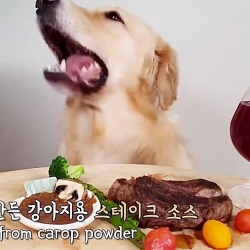 کلیپ:: موکبانگ هاپو:: اسم و پر...