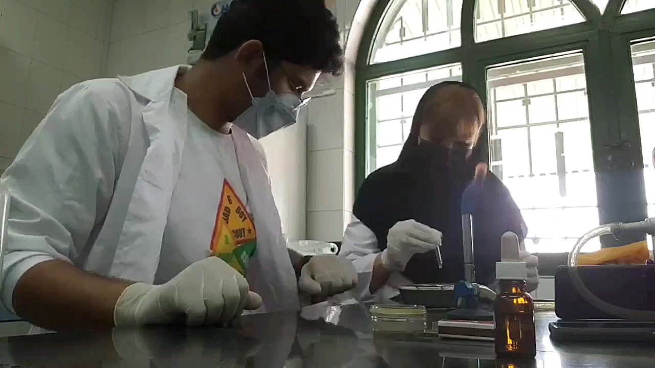 رنگ امیزی باکتری دکتر فاطمه عابدی جعفری